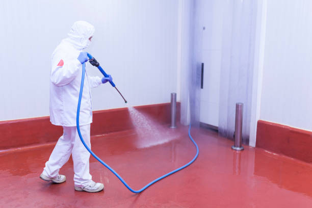 Best Driveway Pressure Washing  in Shoh, IL